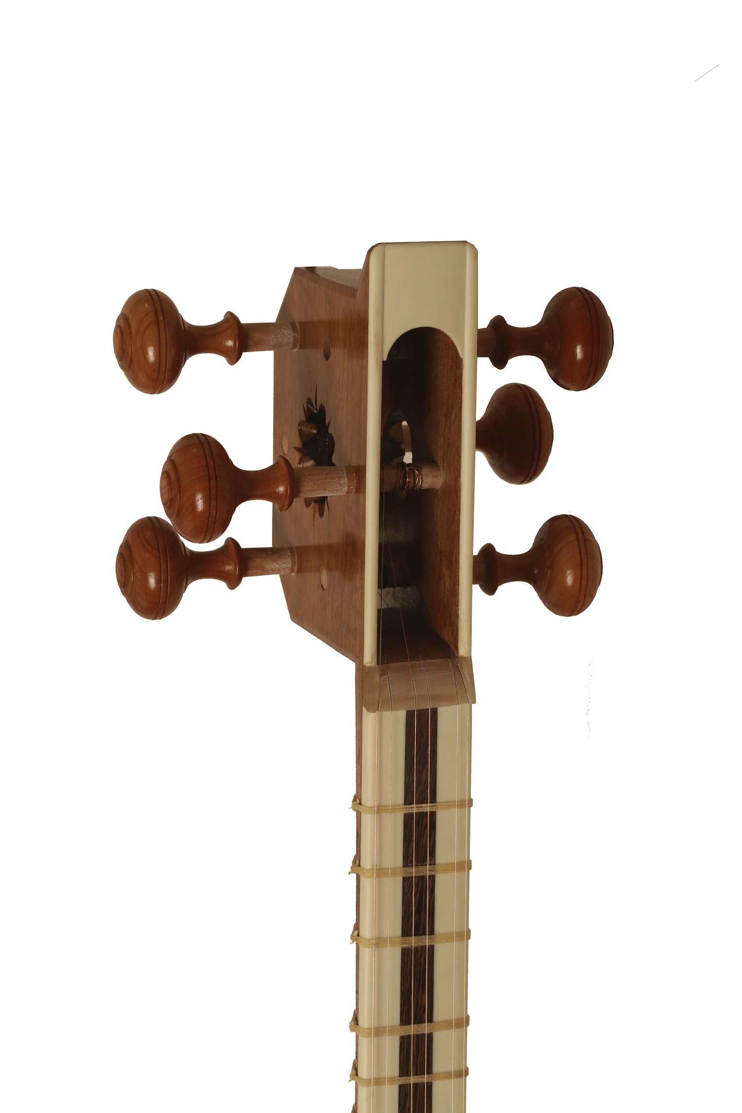 تار علیرضا علیاری یک مهر اندازه 4/4 - تصویر 3