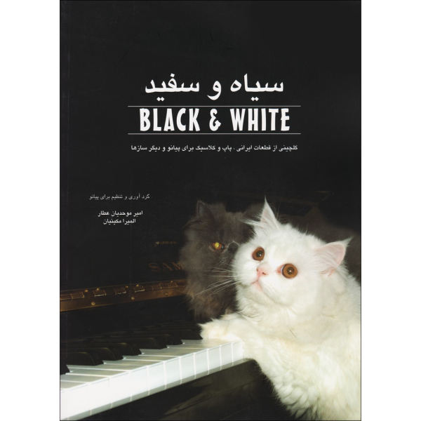 کتاب سیاه و سفید - جلد یک